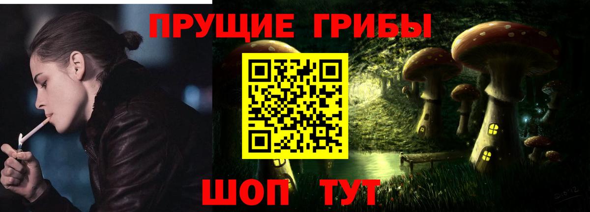 Псилоцибиновые грибы Cubensis  Вход с VPN  Калининград 